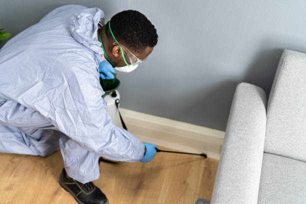 Best Pest Prevention Services  in Bellaire, OH